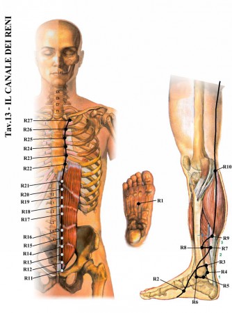 (immagini tratte da www.kyusho.it)